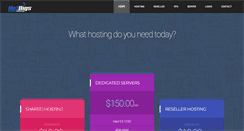 Desktop Screenshot of netbigs.com
